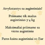 Palangoje Izabeles Apartamentai *