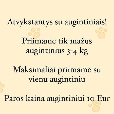 Palangoje Izabeles Apartamentai Apartamento Palanga