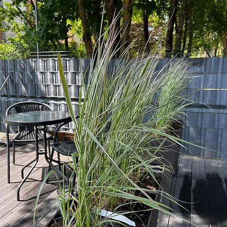 Lägenhet Palangoje Izabeles Apartamentai *