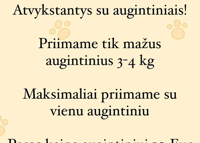 Palangoje Izabeles Apartamentai Apartmán Palanga