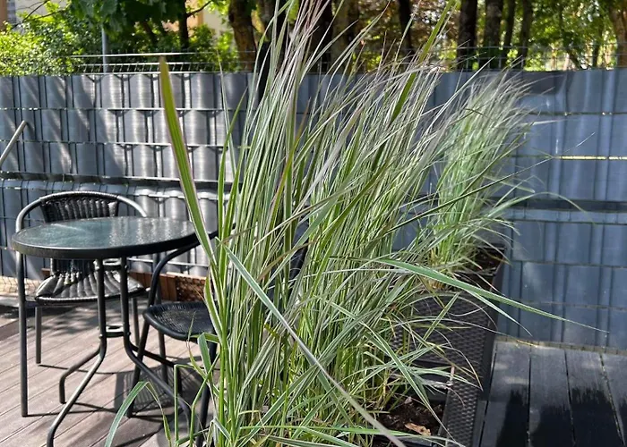 Palangoje Izabeles Apartamentai شقة *